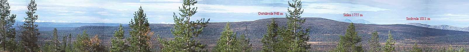 Vy från Dyllen över de närmaste fjällen som omger Grövelsjön.
Dyllen var tidigare en skogklädd ås som av en skogsbrand förvandlades till kalfjäll. 
Tallskog håller långsamt på att återerövra åsen och kommer så småningom att skymma den vackra utsikten.
Skicka gärna ett mail om din dator har problem med att läsa in bilden !