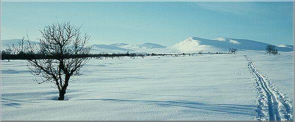 Winter in the mountains